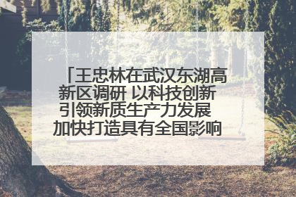 王忠林在武汉东湖高新区调研 以科技创新引领新质生产力发展 加快打造具有全国影响力的科技创新高地