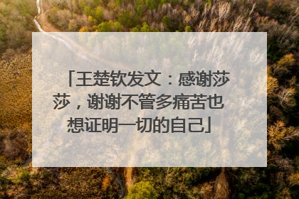 王楚钦发文：感谢莎莎，谢谢不管多痛苦也想证明一切的自己