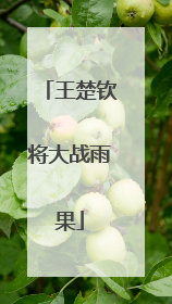王楚钦将大战雨果