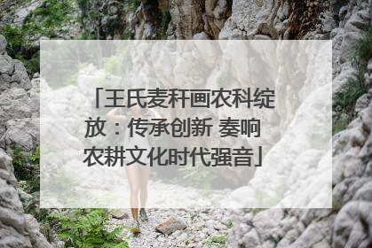 王氏麦秆画农科绽放：传承创新 奏响农耕文化时代强音