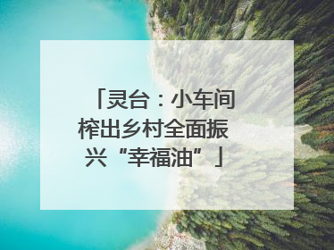 灵台：小车间榨出乡村全面振兴“幸福油”