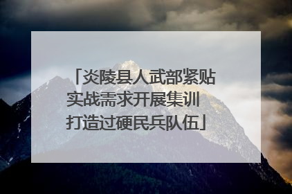 炎陵县人武部紧贴实战需求开展集训 打造过硬民兵队伍