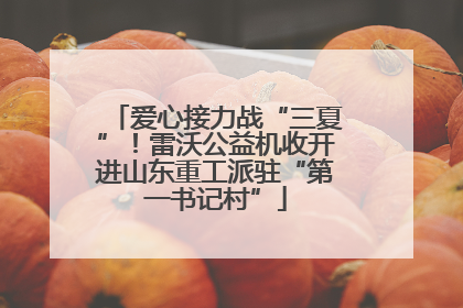 爱心接力战“三夏”！雷沃公益机收开进山东重工派驻“第一书记村”