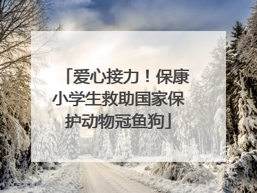 爱心接力！保康小学生救助国家保护动物冠鱼狗
