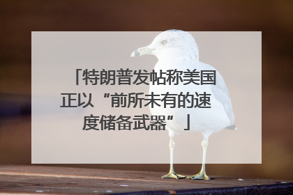 特朗普发帖称美国正以“前所未有的速度储备武器”