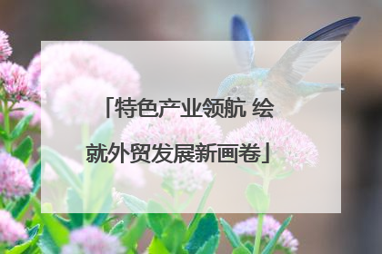 特色产业领航 绘就外贸发展新画卷