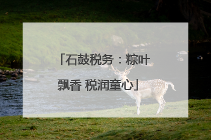 石鼓税务：粽叶飘香 税润童心