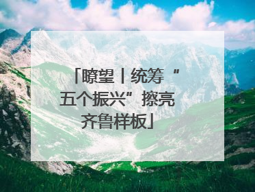 瞭望丨统筹“五个振兴”擦亮齐鲁样板