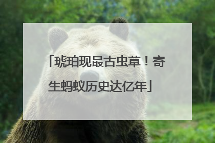 琥珀现最古虫草！寄生蚂蚁历史达亿年