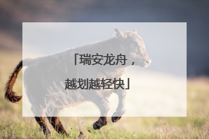 瑞安龙舟，越划越轻快