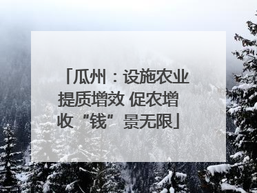 瓜州：设施农业提质增效 促农增收“钱”景无限