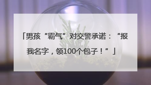 男孩“霸气”对交警承诺：“报我名字，领100个包子！”