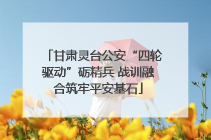 甘肃灵台公安“四轮驱动”砺精兵 战训融合筑牢平安基石