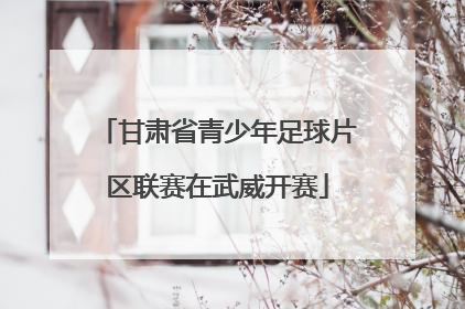 甘肃省青少年足球片区联赛在武威开赛