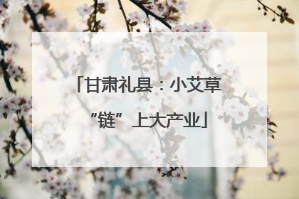 甘肃礼县：小艾草“链”上大产业
