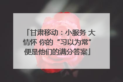 甘肃移动：小服务 大情怀 你的“习以为常”便是他们的满分答案