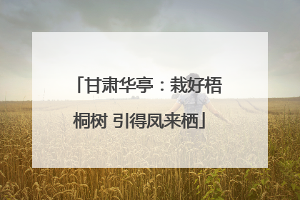 甘肃华亭：栽好梧桐树 引得凤来栖