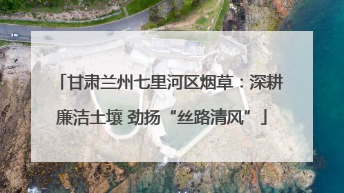 甘肃兰州七里河区烟草：深耕廉洁土壤 劲扬“丝路清风”