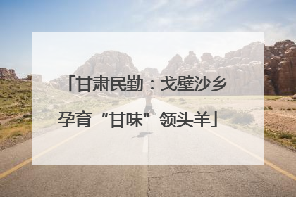 甘肃民勤：戈壁沙乡孕育“甘味”领头羊