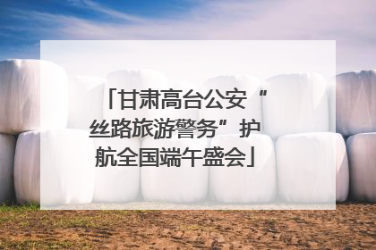 甘肃高台公安“丝路旅游警务”护航全国端午盛会