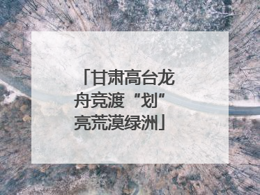 甘肃高台龙舟竞渡“划”亮荒漠绿洲