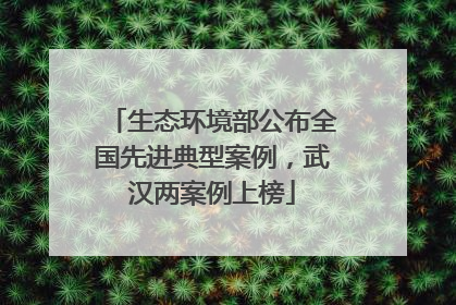 生态环境部公布全国先进典型案例，武汉两案例上榜