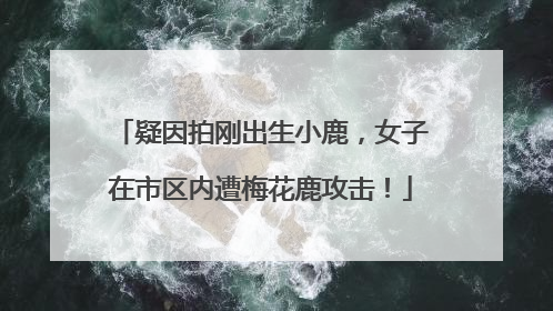 疑因拍刚出生小鹿，女子在市区内遭梅花鹿攻击！