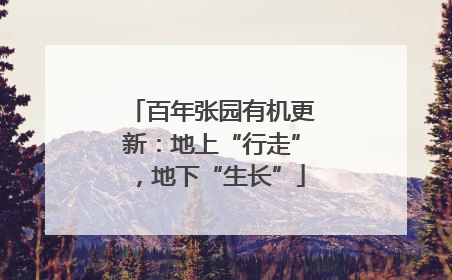 百年张园有机更新：地上“行走”，地下“生长”