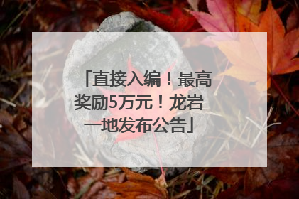 直接入编！最高奖励5万元！龙岩一地发布公告