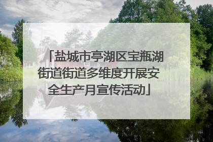 盐城市亭湖区宝瓶湖街道街道多维度开展安全生产月宣传活动