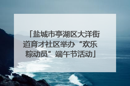 盐城市亭湖区大洋街道育才社区举办“欢乐粽动员”端午节活动