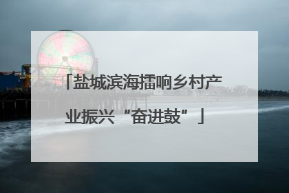 盐城滨海擂响乡村产业振兴“奋进鼓”