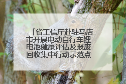 省工信厅赴驻马店市开展电动自行车锂电池健康评估及报废回收集中行动示范点建设调研指导