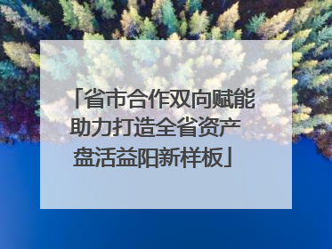 省市合作双向赋能 助力打造全省资产盘活益阳新样板