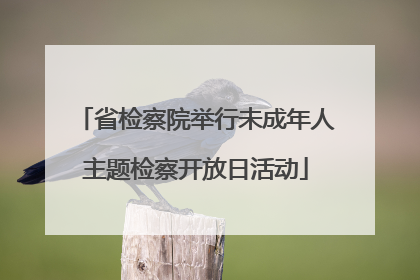 省检察院举行未成年人主题检察开放日活动