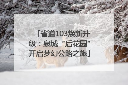 省道103焕新升级：泉城“后花园”开启梦幻公路之旅