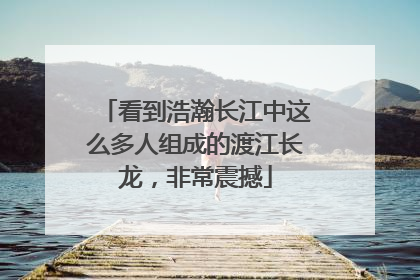 看到浩瀚长江中这么多人组成的渡江长龙，非常震撼
