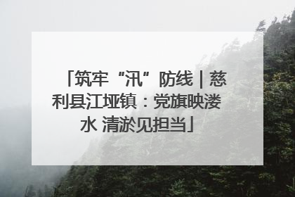 筑牢“汛”防线｜慈利县江垭镇：党旗映溇水 清淤见担当