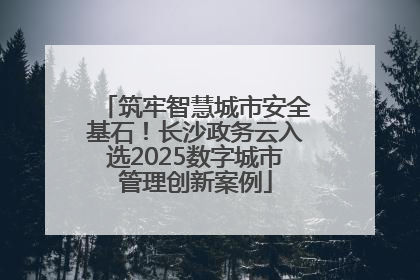 筑牢智慧城市安全基石！长沙政务云入选2025数字城市管理创新案例