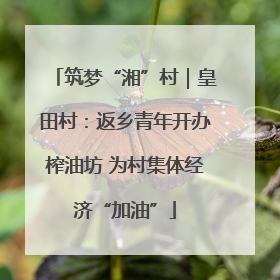 筑梦“湘”村｜皇田村：返乡青年开办榨油坊 为村集体经济“加油”
