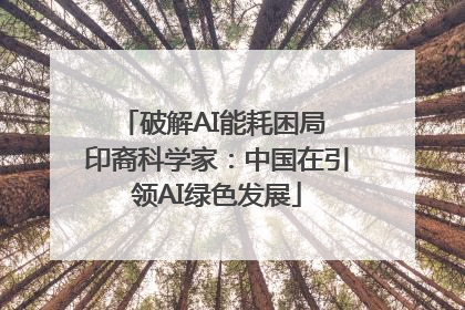 破解AI能耗困局 印裔科学家：中国在引领AI绿色发展