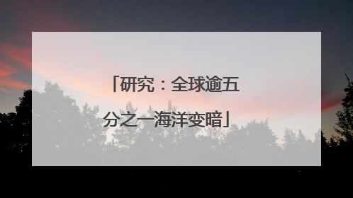 研究：全球逾五分之一海洋变暗