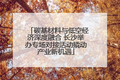 碳基材料与低空经济深度融合 长沙举办专场对接活动撬动产业新机遇