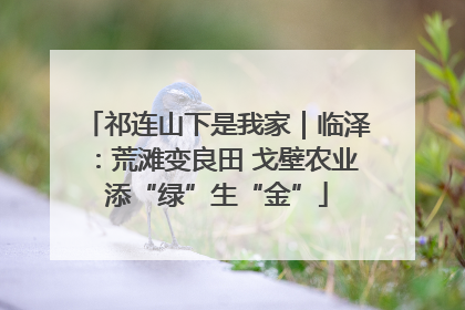 祁连山下是我家｜临泽：荒滩变良田 戈壁农业添“绿”生“金”