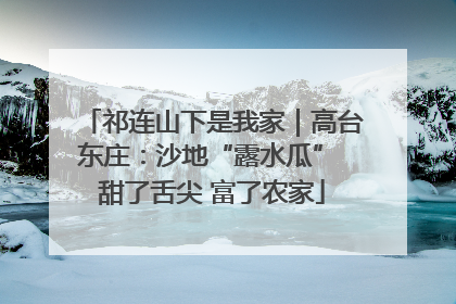 祁连山下是我家｜高台东庄：沙地“露水瓜” 甜了舌尖 富了农家