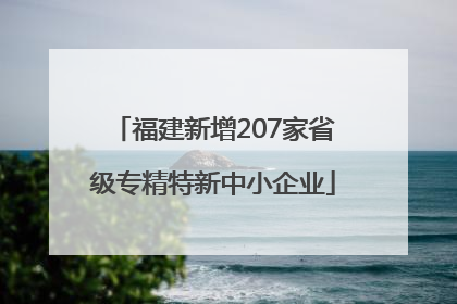 福建新增207家省级专精特新中小企业