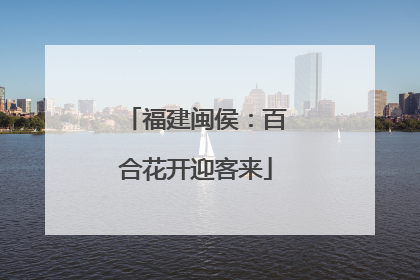 福建闽侯：百合花开迎客来