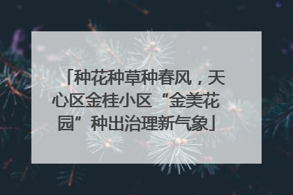 种花种草种春风，天心区金桂小区“金美花园”种出治理新气象