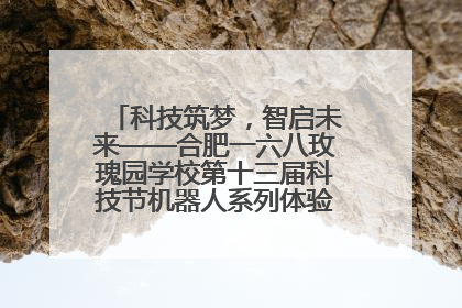 科技筑梦，智启未来——合肥一六八玫瑰园学校第十三届科技节机器人系列体验赛燃动校园