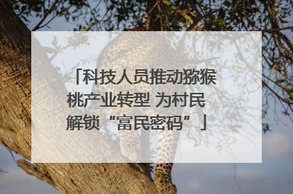 科技人员推动猕猴桃产业转型 为村民解锁“富民密码”